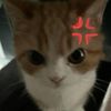 juni_810