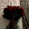 user8693308145006