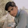 malikhamzahamza210