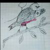 petushara230612