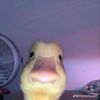 de_op_7