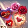 irfan.mahi527