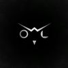 Owl_eye