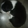 trico.mao.arch_20