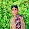 tanha.loge.1