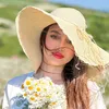 lulwa617