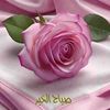 user9871866736104