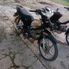 herdi.9182
