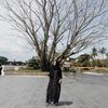 sri.gustina79