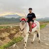 ali.ap77