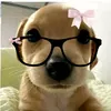 shel_tabcao