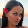 Larounete2