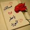user5883348296343