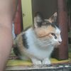 hikmatwalidi3