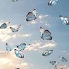 marg_243