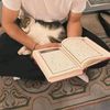 yahya_.mehrzad