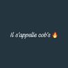 cobs521