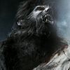 wolfman.ut