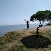 user29913360512062
