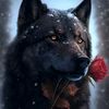 odinokiy_22065