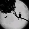 user5819353137161