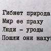 asekezzx