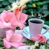 user69070261575515