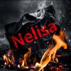 nelisagege