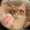 abrar12_aa