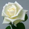 user11051613847580