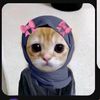 baratu.ustaz.redw