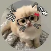aninhar521