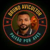 bruno.avicultor