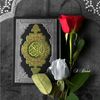 mahmoud.alrooh