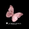 hanady.hanooda