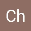 chche413