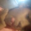 davielys02