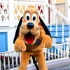 wouf_pluto_le_chien_wouf