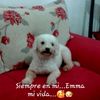 estela63332