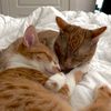 Socks & Runt