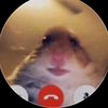 alejandrovillafa30