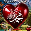 zulfiqar.hashmi