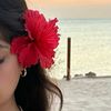amira.ayman784