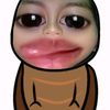 olla_adellia