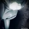 leo.mobilador1