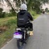 bolo_dewo90