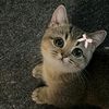 karishma_basnet7