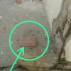 user172706150