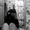 cipawww_piww