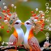 muhammadtahir5193